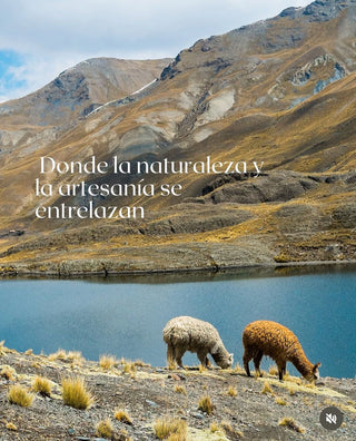 Baby Alpaca de Perú