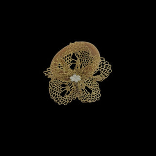 Coletero Dorado
